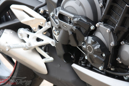 PROTECTOR DE MOTOR TRIUMPH STREET TRIPLE 765